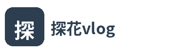 探花vlog